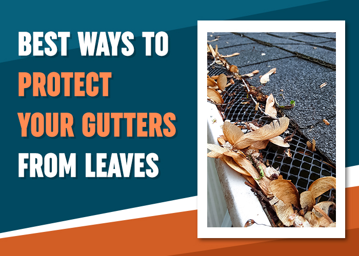 5 Smart Ways to Protect Your Gutters from Leaves and Costly Damages